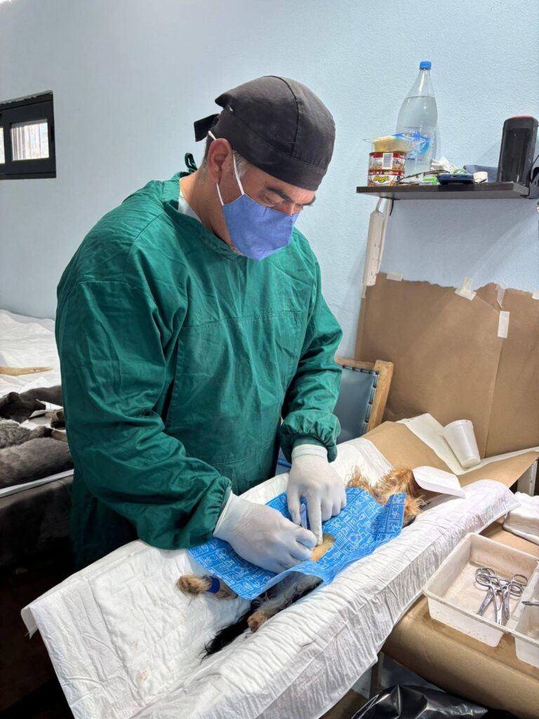 WhatsApp Image 2025 11 11 at 1.19.41 PM 3