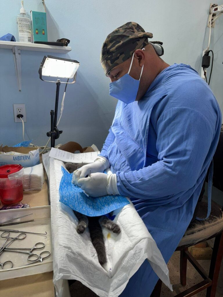 WhatsApp Image 2025 11 11 at 1.19.41 PM 4