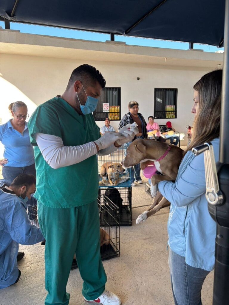 WhatsApp Image 2025 11 11 at 1.19.41 PM 5