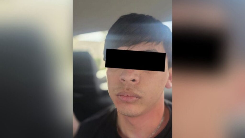 Detienen a 'L-12', objetivo prioritario y 14 detenidos más en operativos federales en Sinaloa 2 sinaloa