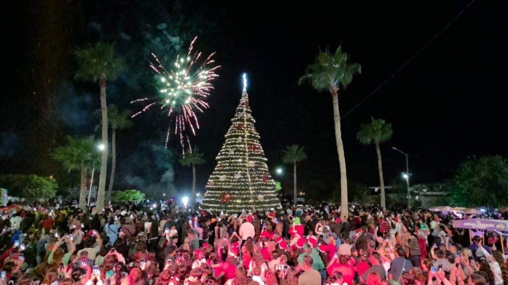 Realizan Desfile Navideño 4 114 1