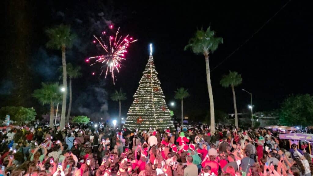 Realizan Desfile Navideño 5 115