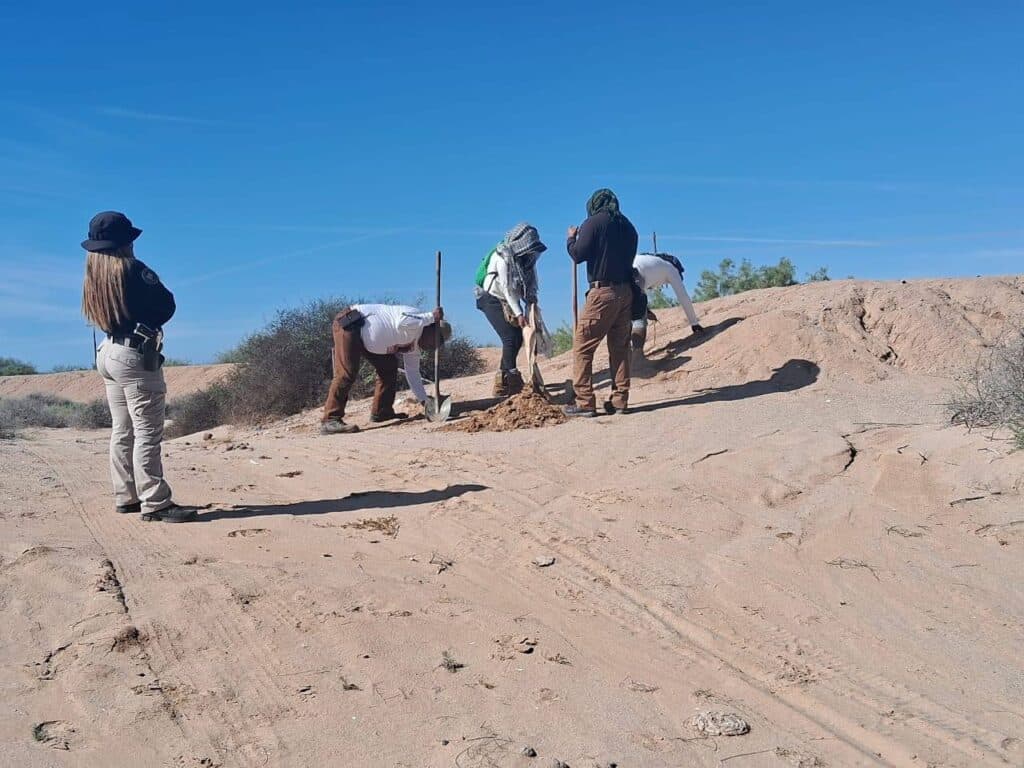 Se han activado 92 fichas por desaparición durante este 2025 6 139