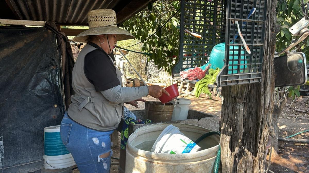 Exhorta Secretaría de Salud mantener hogares limpios contra rickettsia y dengue