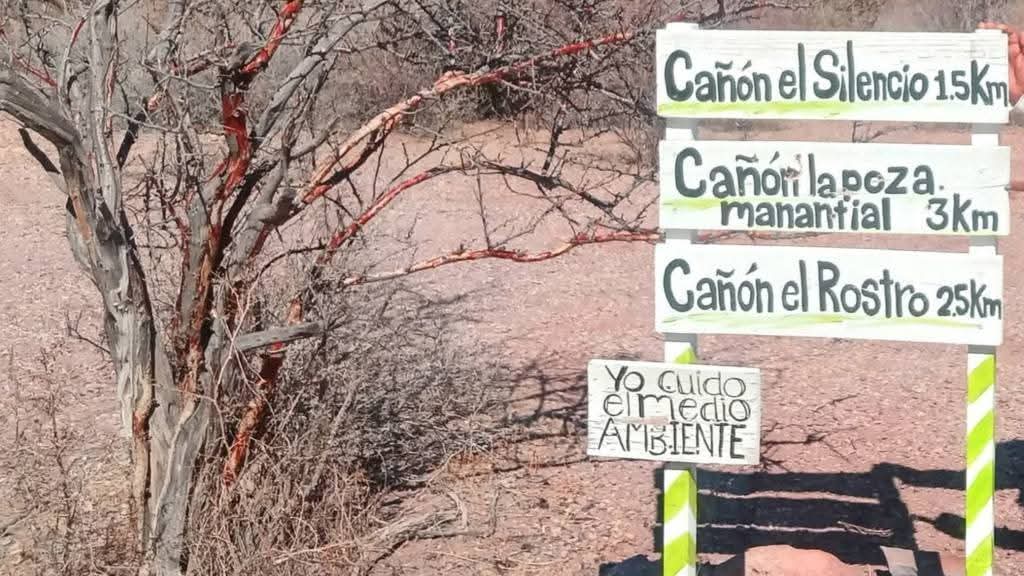 Estudian con 15 cámaras fauna silvestre en San Carlos 7 330 2