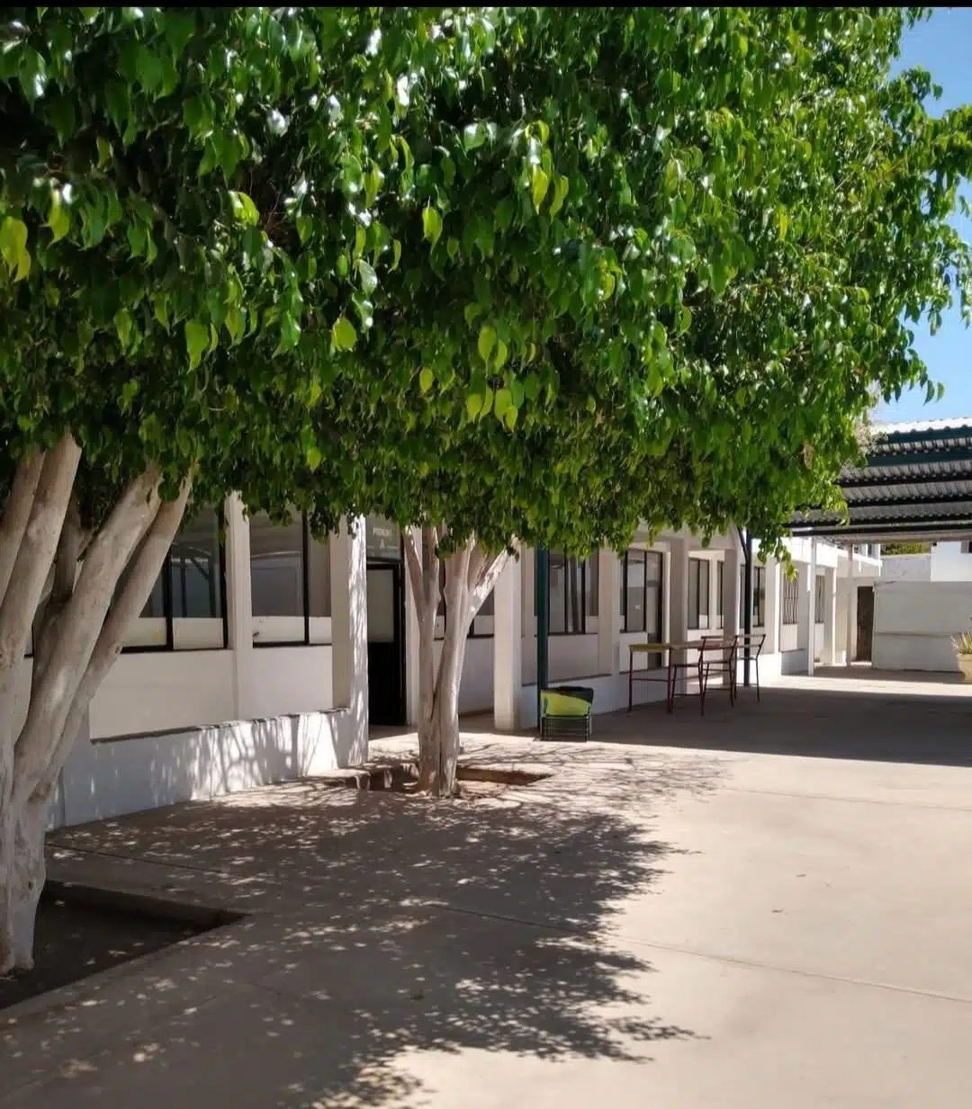 Ataca estudiante de secundaria con cuchillo a compañera