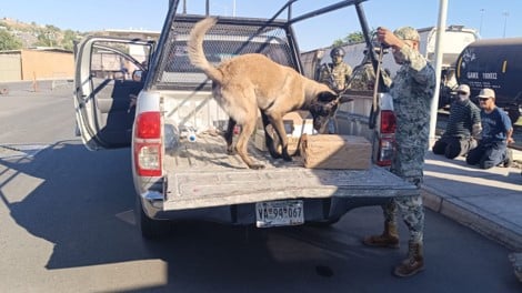 Desarrollan simulacro nivel III en Asipona 8 343