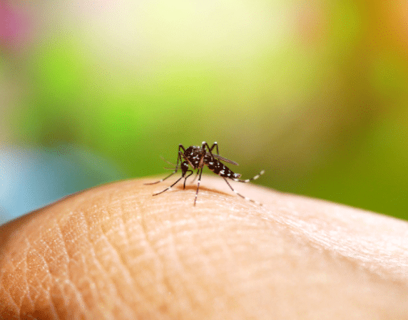 Fallece joven de dengue