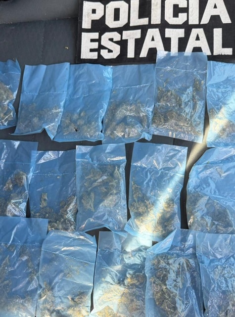 Incauta Policía Estatal narcótico en operativo por el sur de Hermosillo 2 474