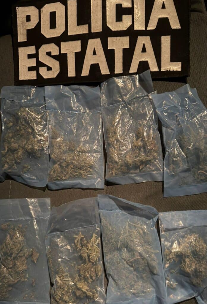 Detiene PESP a cuatro personas por posesión de narcótico y violencia familiar en Hermosillo 6 498