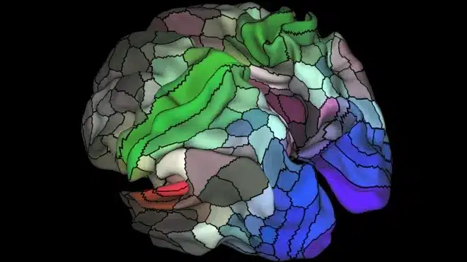 90474782 glasser et al 2016 wholebrainmidthickness.png 1