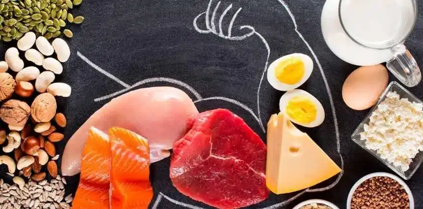 El exceso de proteinas podria alterar las hormonas y acelerar el envejecimiento celular