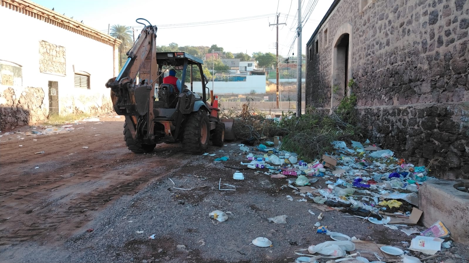 Exigen multa a cochinones en basurero