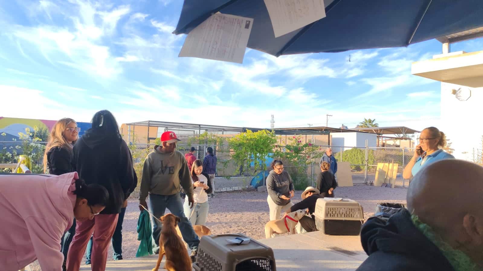 Rebasan las 7 mil esterilizaciones