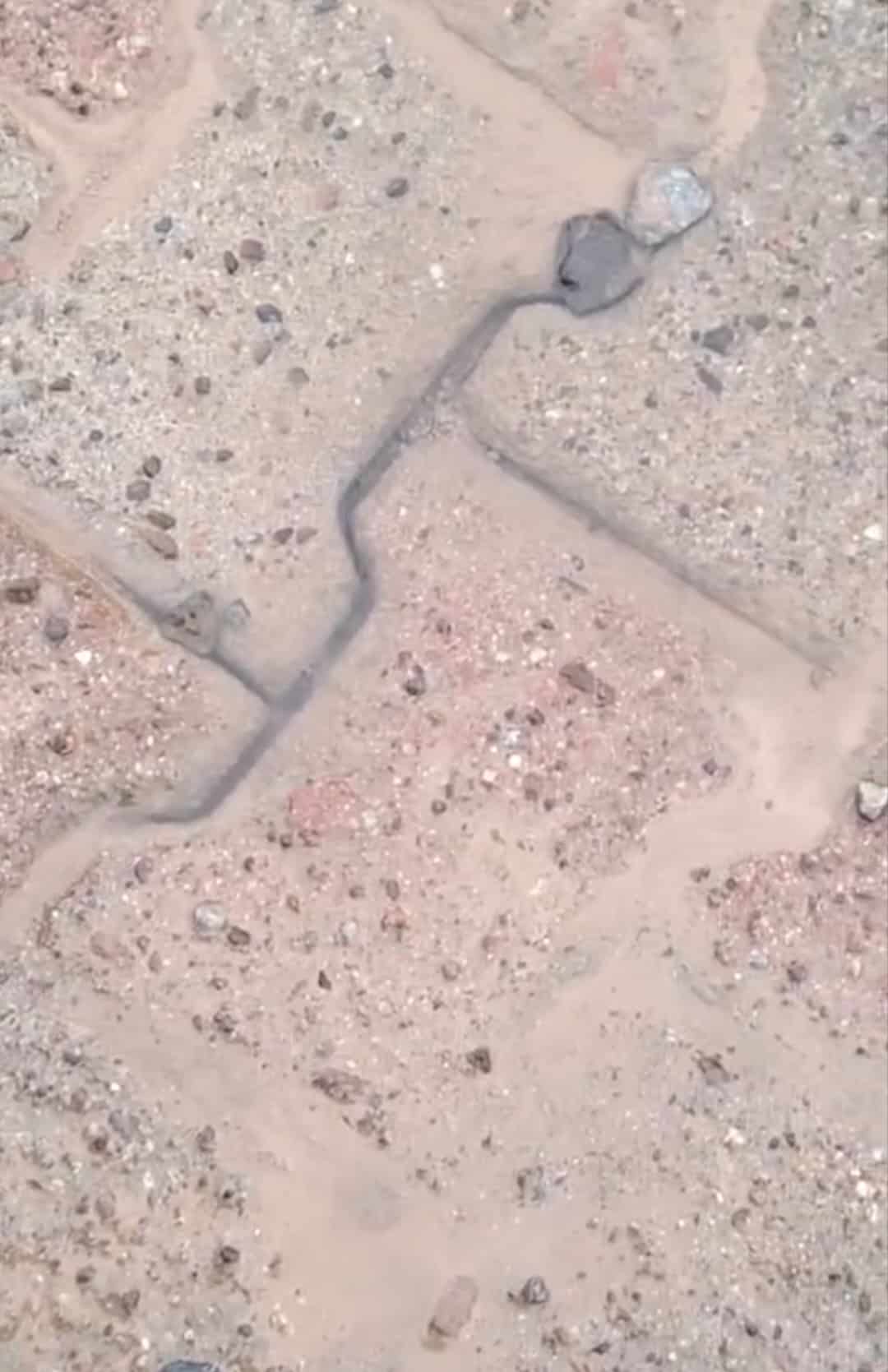 CEA hunde pavimento en San Carlos