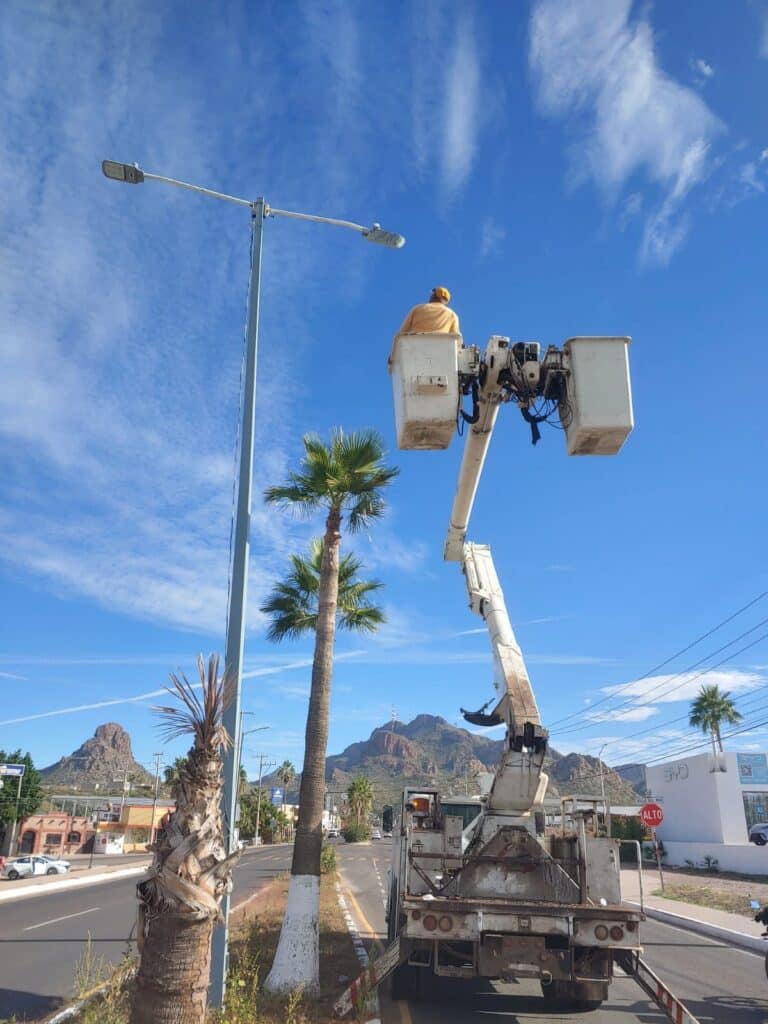 WhatsApp Image 2025 12 03 at 10.27.00 AM 1