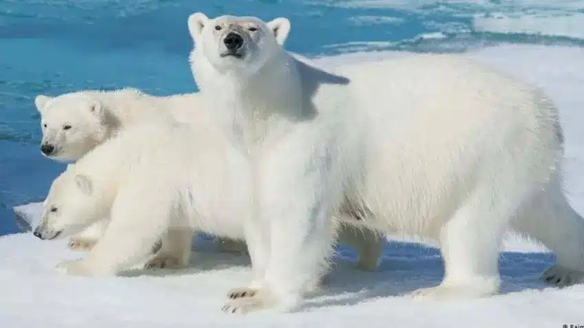 f848x477 1223926 1281729 5050