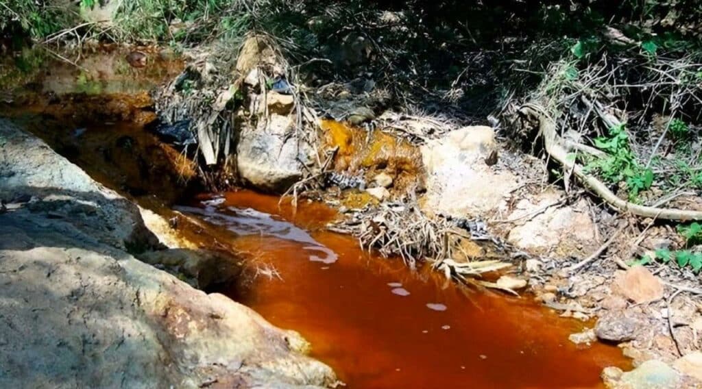 Grupo México concluirá reparación de daños en el Río Sonora: Sheinbaum 1 grupo mexico