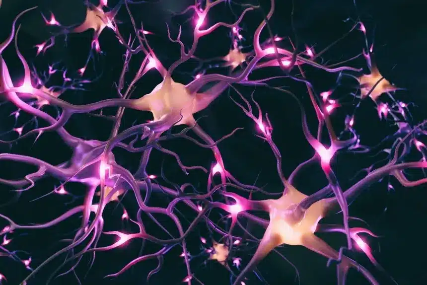 Escuchando el cerebro con tecnología del espacio 1 neuronas espacio