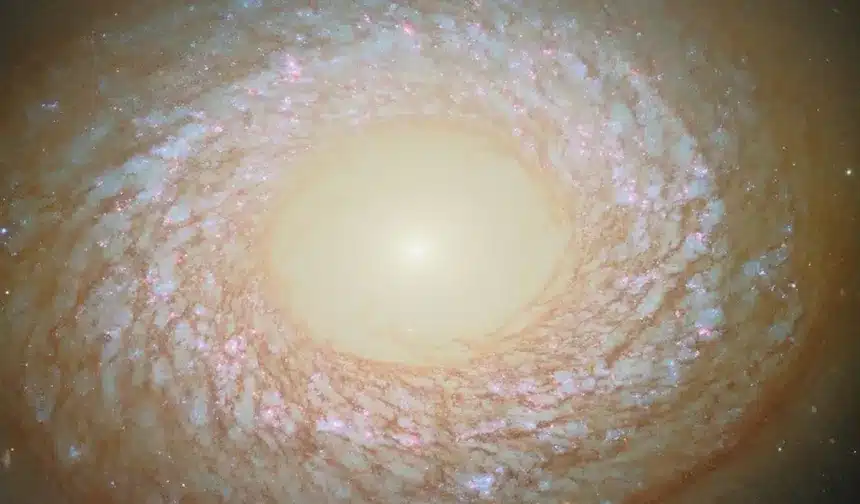 telescopio hubble capta galaxia desconcertante a 67 millones de anos luz 773fec78 d85e 4bd4 9743 5f7939d4354f medialjnimgndimagefullsize