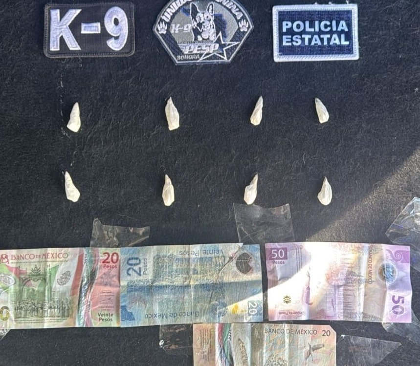 Alerta K-9 PESP sobre persona con narcótico en El Sahuaro 3 102 1