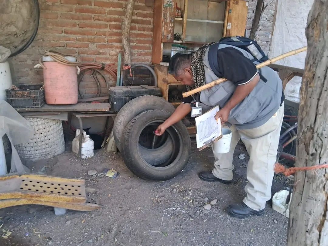 Refuerza Secretaría de Salud llamado a la limpieza para prevenir el dengue en Sonora