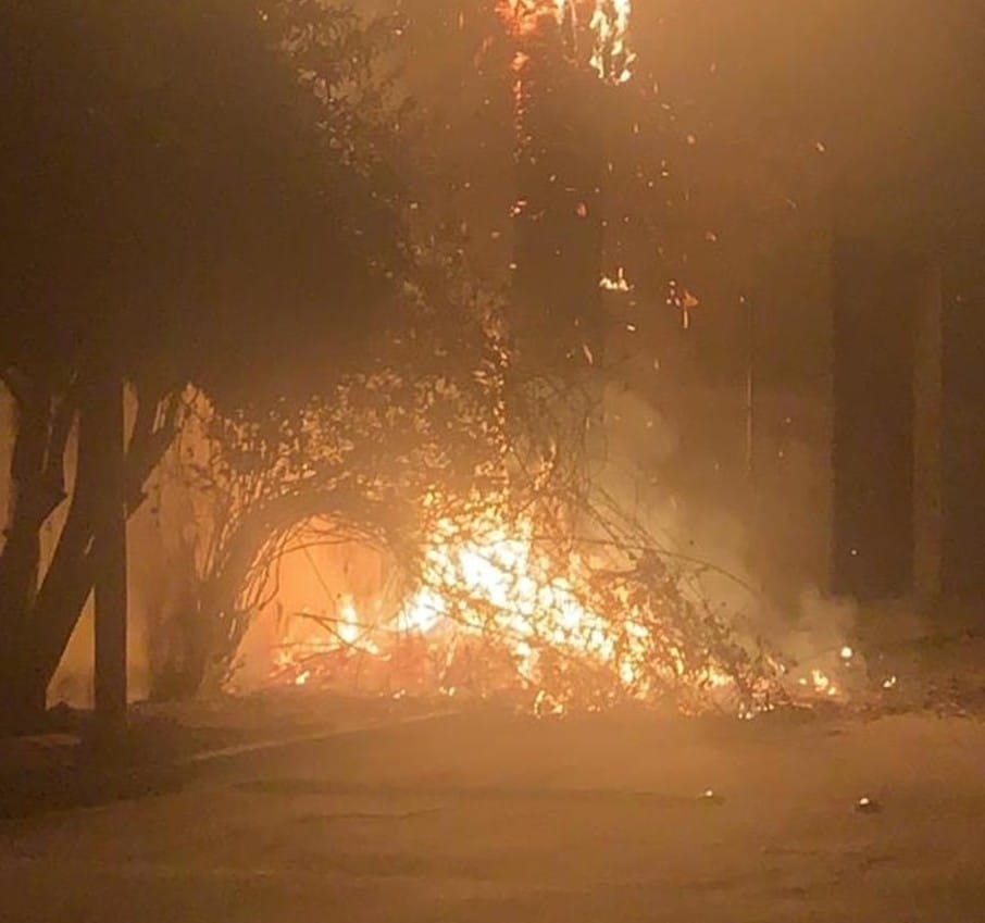 Sofocan incendio de maleza 1 maleza