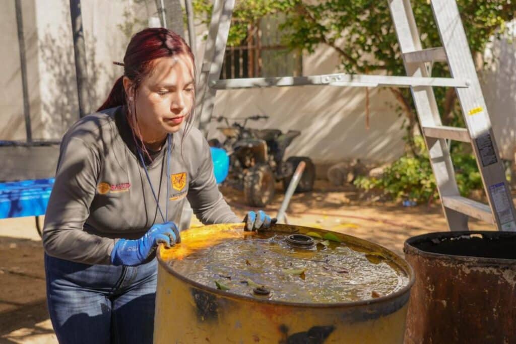 Continúa Salud Sonora con acciones de prevención del dengue en la entidad 1 Dengue