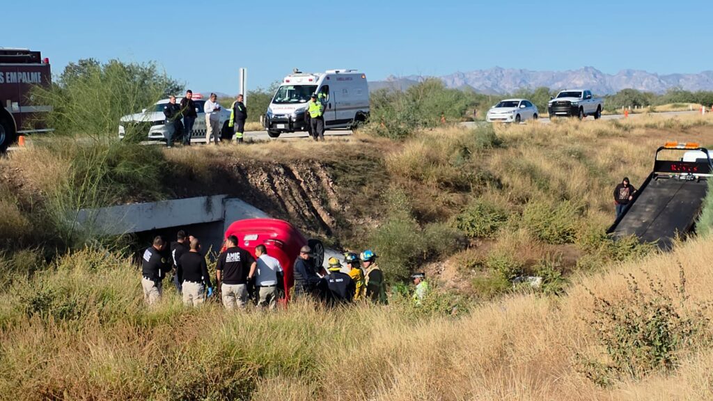 Muere conductor; el auto que tripulaba chocó contra caballo 1 75