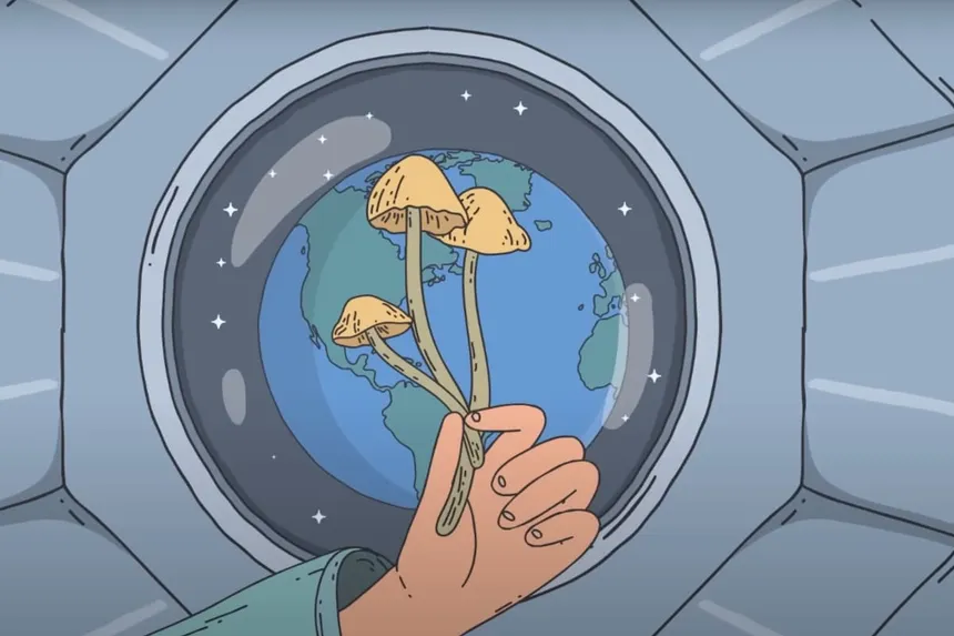 BLJ6QSCM3BCDZEAV2N5JP5XO5Q