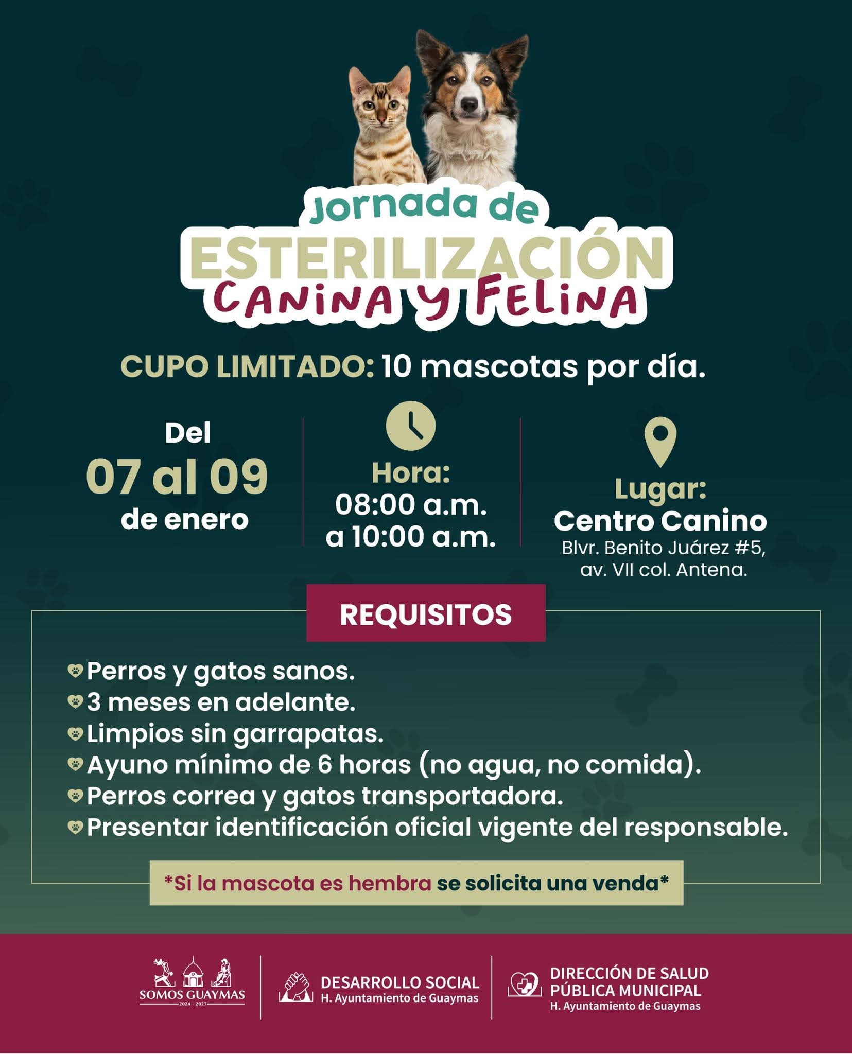 Realizarán esterilización canina