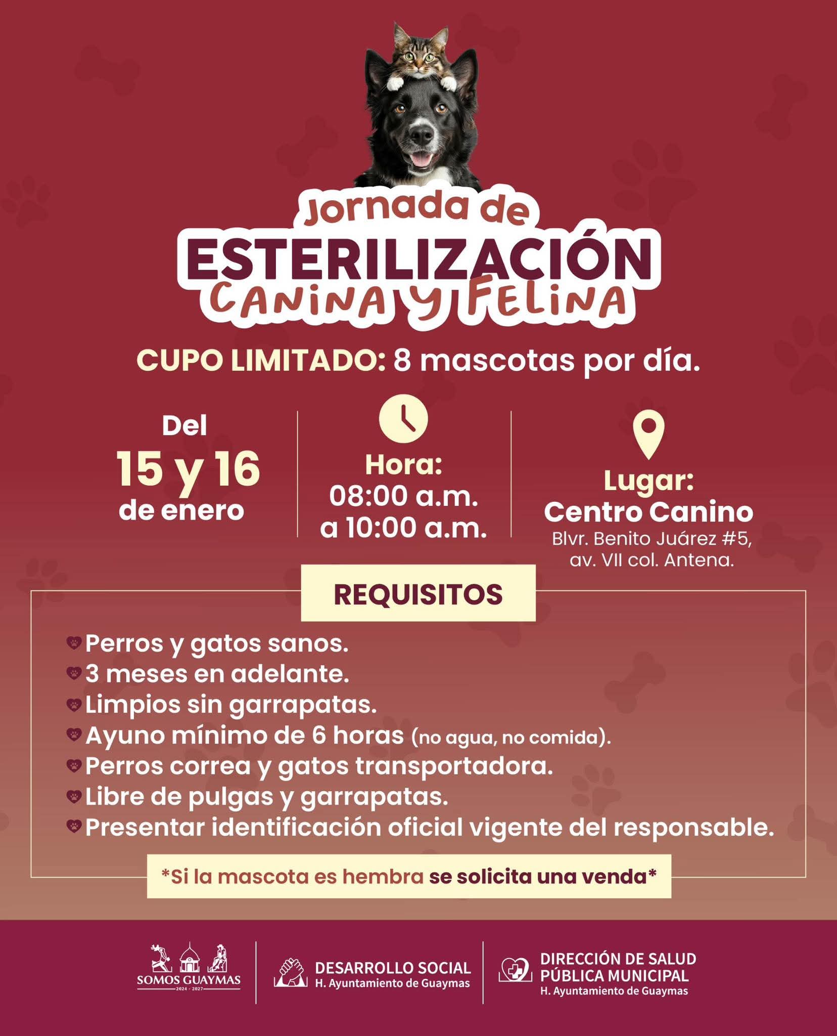 Concluye hoy jornada de esterilización