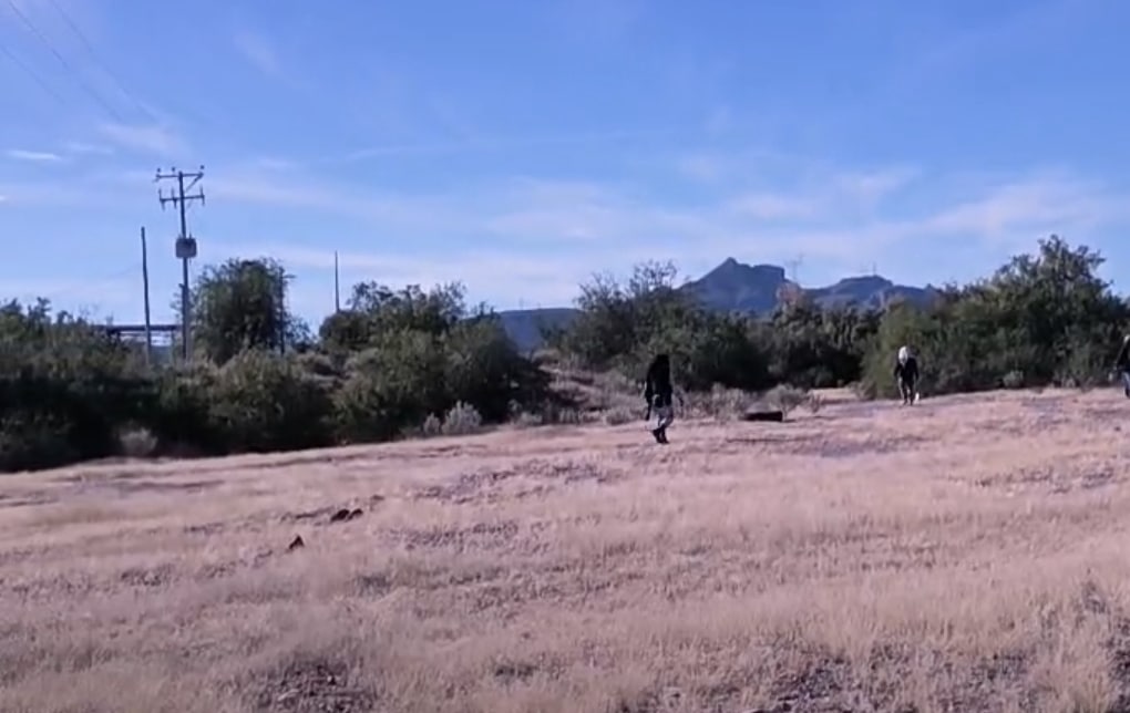 Guerreras realizan primera búsqueda del año