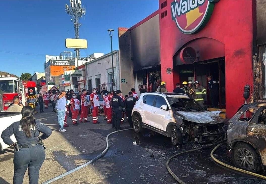 WhatsApp Image 2026 01 14 at 9.48.35 AM