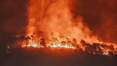 Prenden fuego a cerro en San Vicente 1 san vicente