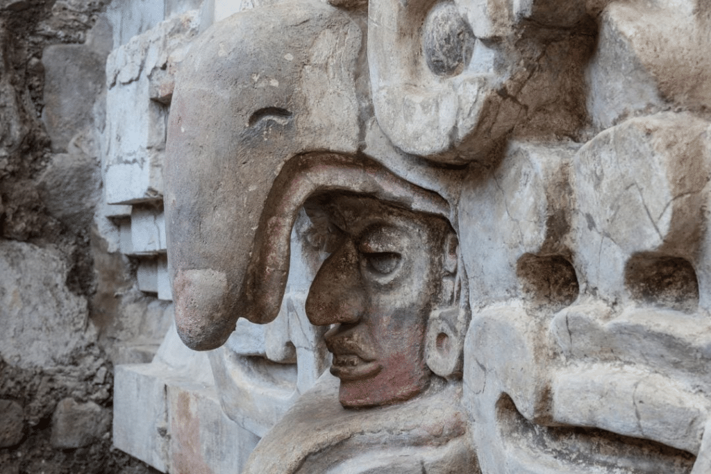 Hallazgo histórico en Oaxaca descubren tumba zapoteca del año 600 1 image 130