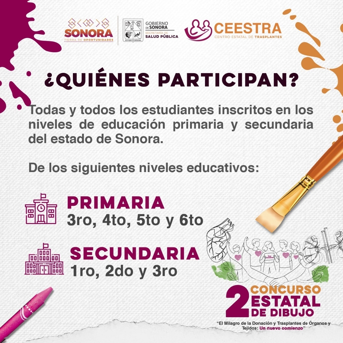 Últimos días para participar en concurso de dibujo sobre donación de órganos