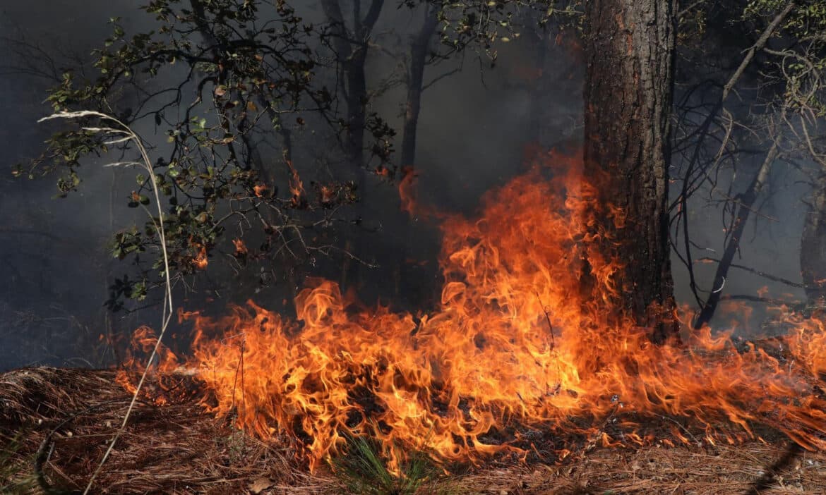 Sofocan incendio de maleza