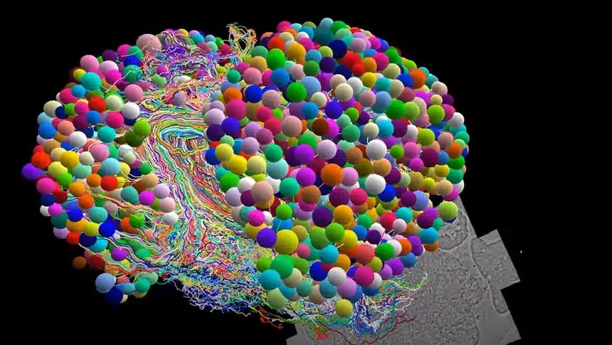 640c200659bf5b20ab7d67df