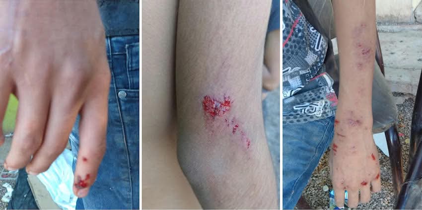 6c130e99 0858 4faf b787 e1814fd5b89d