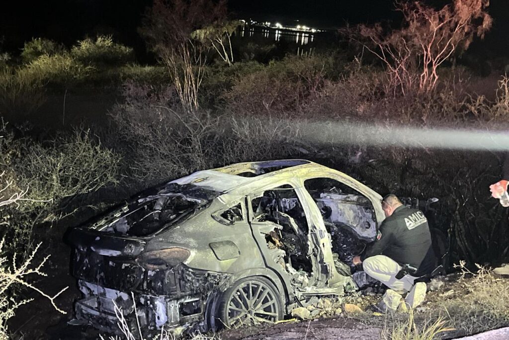 IMG 20260225 WA03941