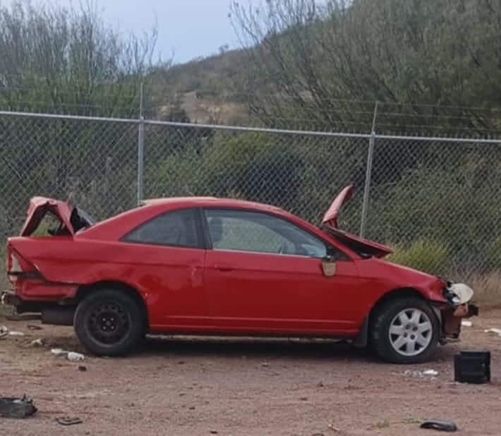 WhatsApp Image 2026 02 14 at 11.45.50 AM