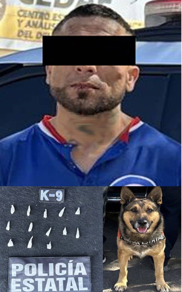 Ejemplar canino Zeusz de la unidad K-9 detecta narcótico en operativo de seguridad en Hermosillo 1 WhatsApp Image 2026 02 23 at 10.11.03 AM