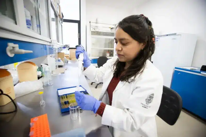 descubren beneficios del garambullo en prevencion de cancer de colon dec6a4f2 b313 426e 9aa7 839accfc9f63 media