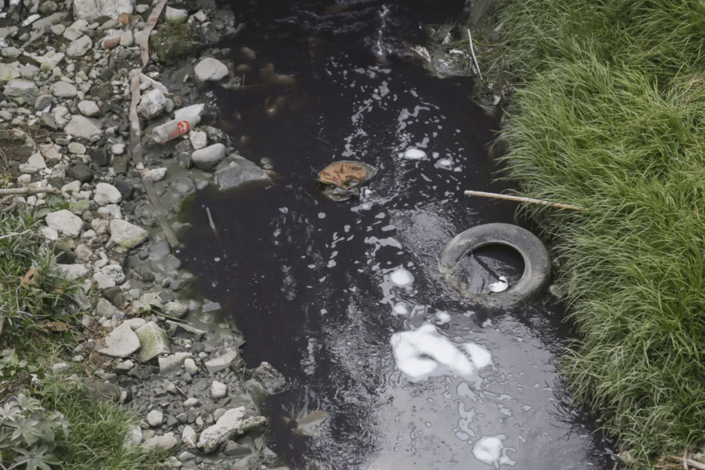Identifican casi 4 900 descargas contaminantes en cuenca de los ríos Atoyac y Zahuapan 1 image 327