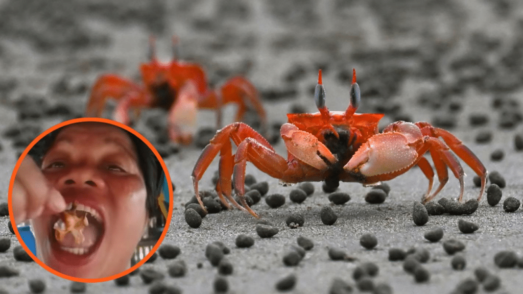 Influencer filipina muere tras comer cangrejo venenoso en video viral 1 image 330