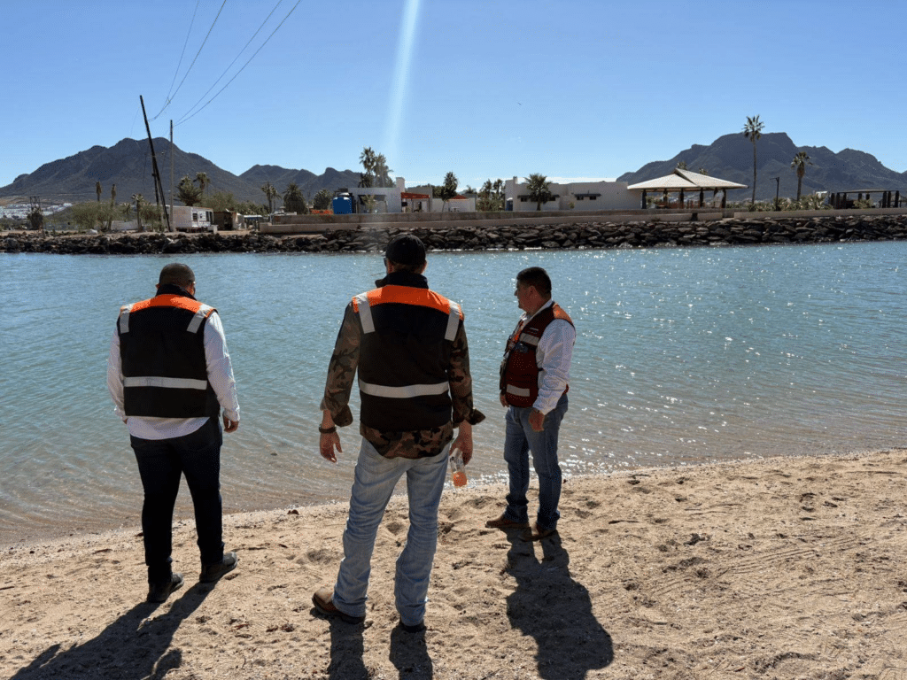 Se encuentra libre de contaminación 1 image 827