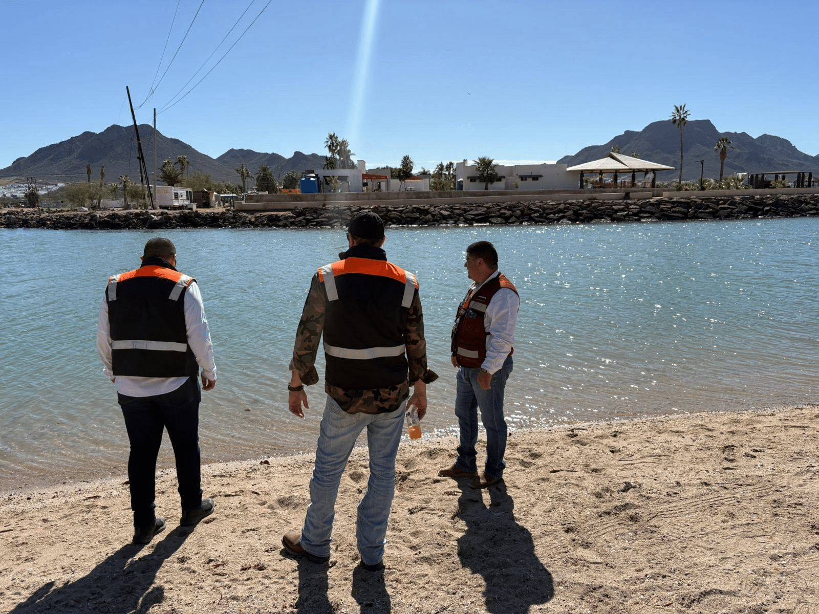 Se encuentra libre de contaminación