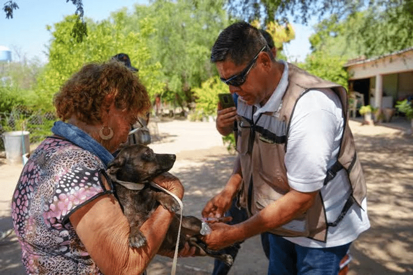 Acciones simples ayudan a prevenir rickettsiosis y dengue: SSP 1 image 870