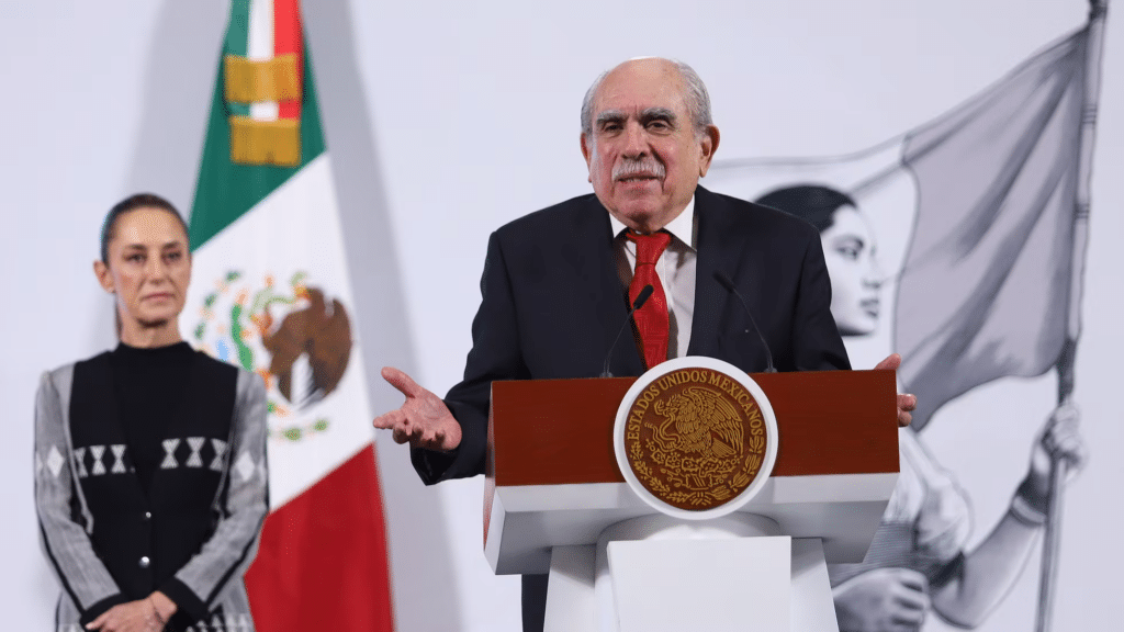 Presidenta ironiza sobre el Frente Amplio Democrático y defiende la reforma electoral 1 image 95